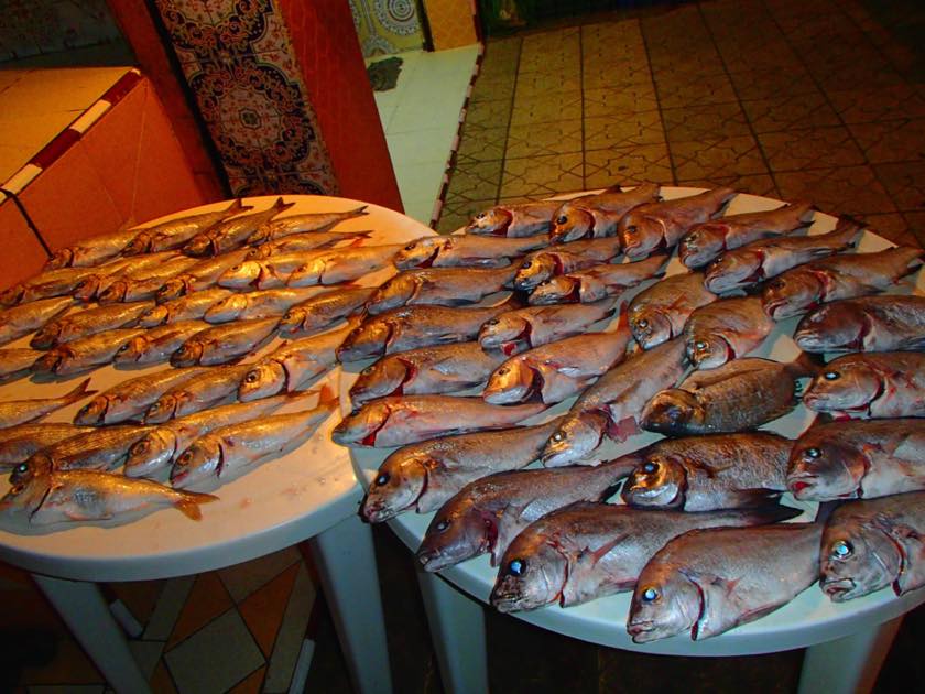 西サハラで食べれる魚