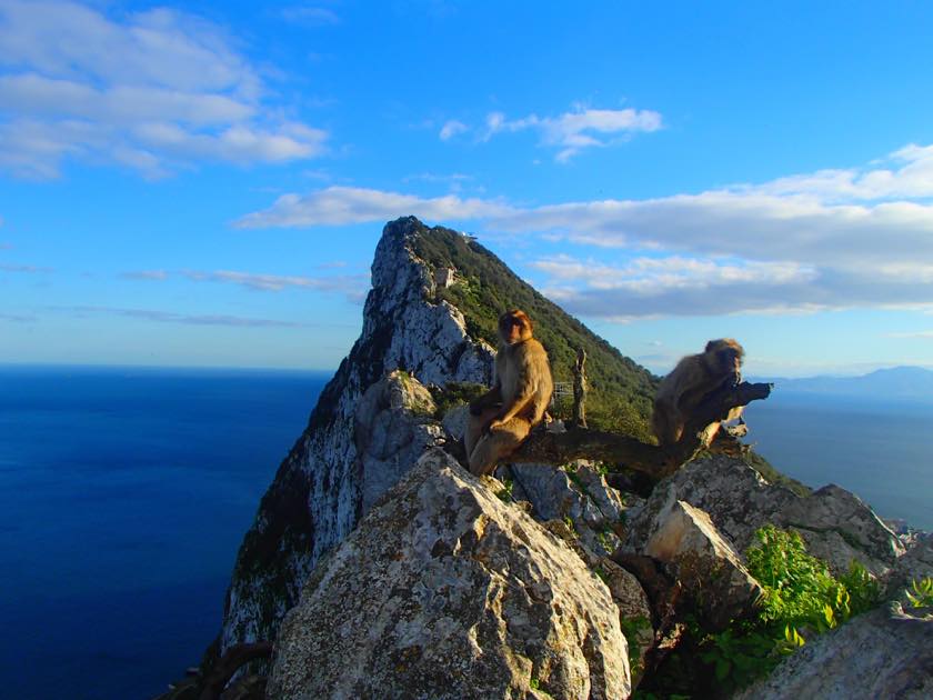 ジブラルタルの展望台と猿